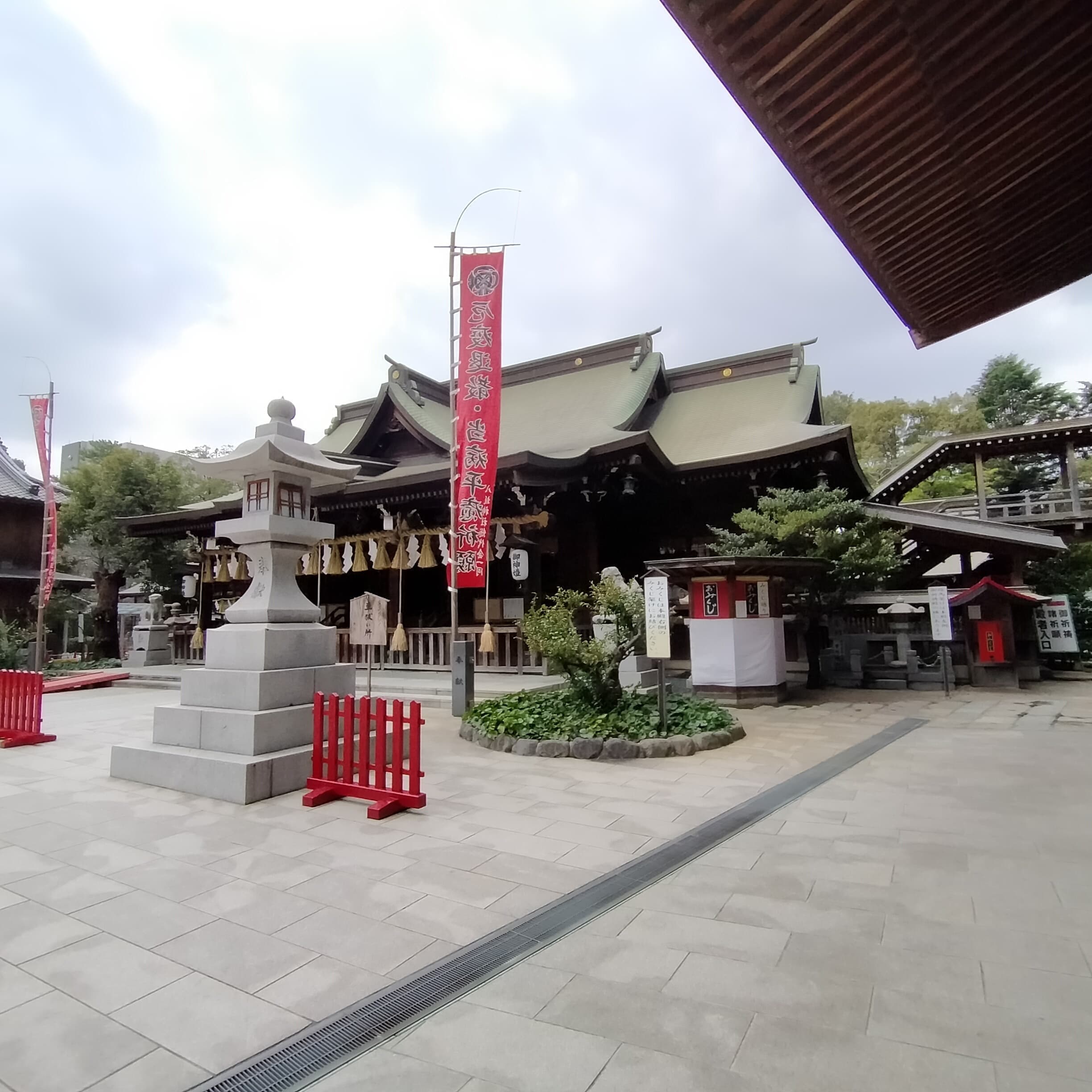 img20210215134536.jpg