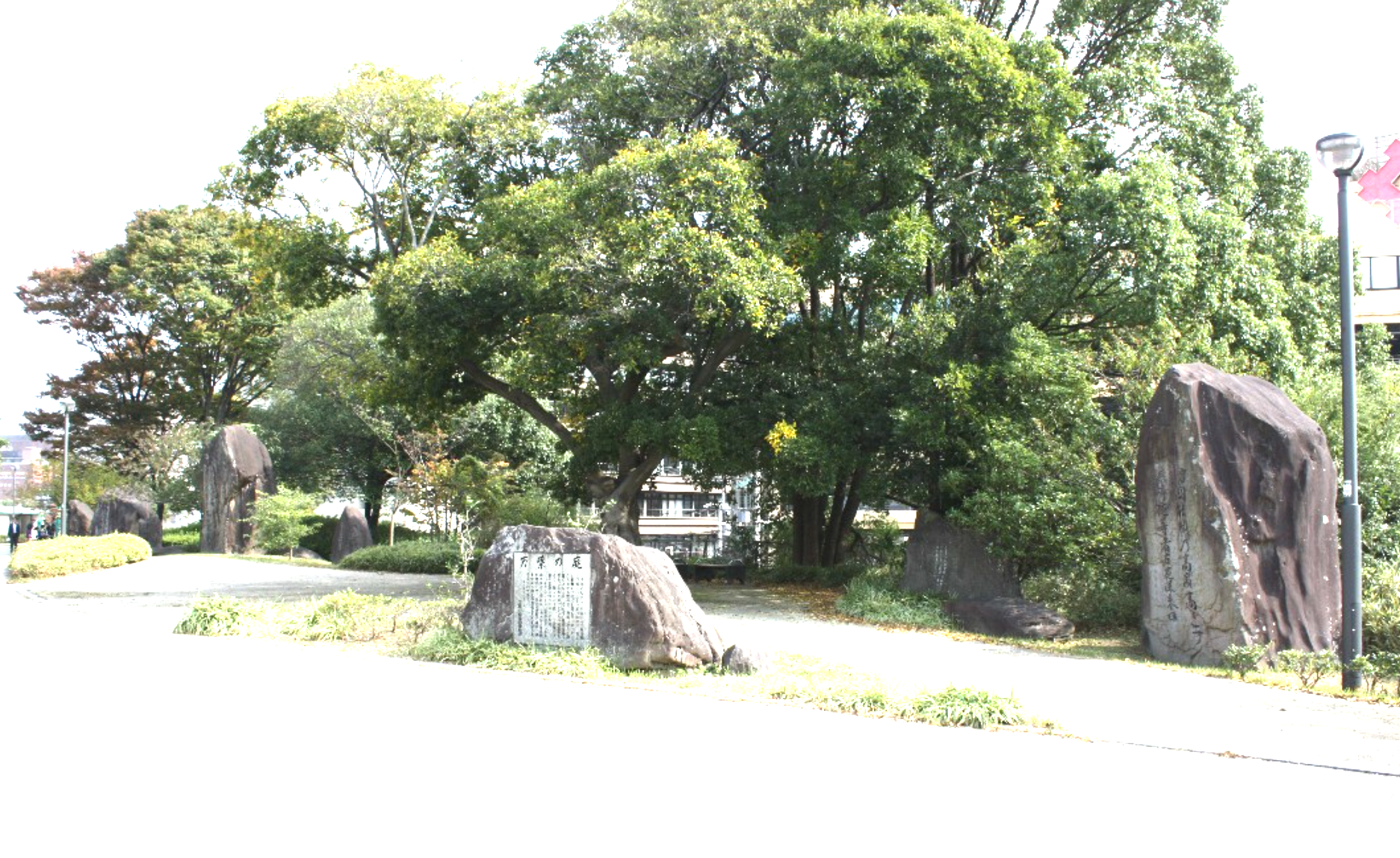 2021-02-17_(36).png